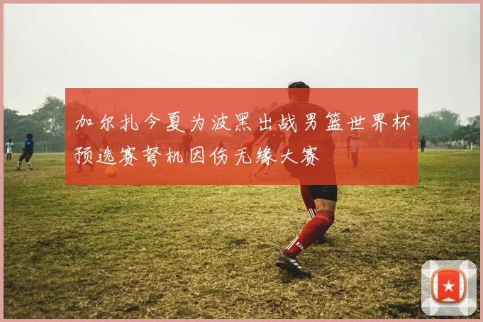 加尔扎今夏为波黑出战男篮世界杯预选赛弩机因伤无缘大赛