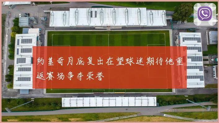 约基奇月底复出在望球迷期待他重返赛场争夺荣誉